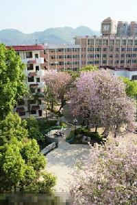 清遠市陽山中學 清遠市陽山中學