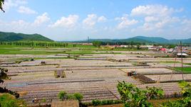 石頭河子 石頭河子