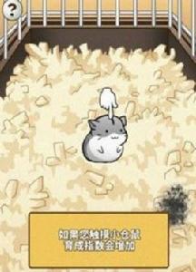 倉鼠的日常 倉鼠的日常