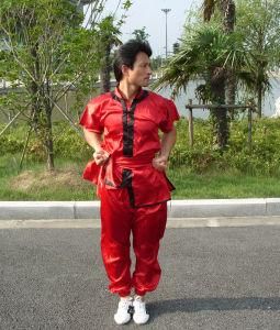 少林八步連環拳 少林八步連環拳