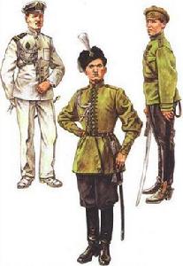 白衛軍[1918-1920年蘇俄國內戰爭時期武裝力量]