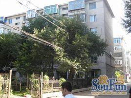 前進小區 前進小區