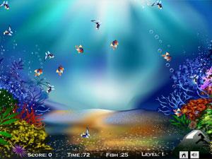 圈圈熱帶魚 圈圈熱帶魚