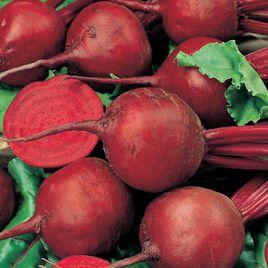紅甜菜 紅甜菜