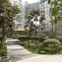 麗都美語 麗都美語