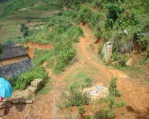 自家自然村 自家自然村