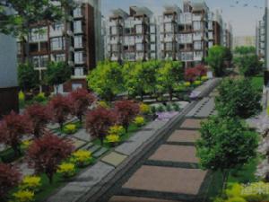 德州現代城 德州現代城