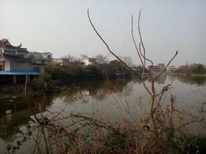 前張村[江西省萬年縣前張村]