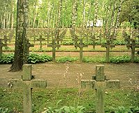 在華沙戰役中陣亡的波軍的墓地（華沙的Powązki Cemetery）