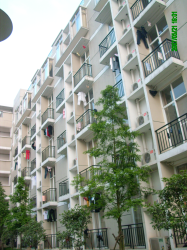 創業樂園 創業樂園