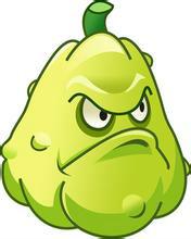 植物大戰殭屍2派王上帝2