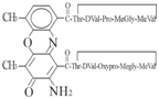 放線菌素D分子式：C62H86N12O16  分子量：1255.44
