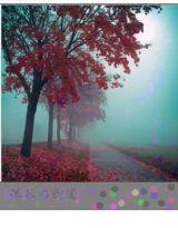 隨波逐流的愛 隨波逐流的愛