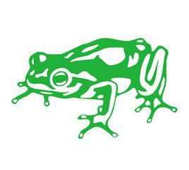 frog[美國創意設計公司]