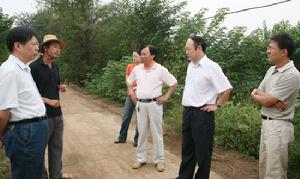 （圖）建設新農村