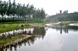 東崗村[山西省忻州市原平市南白鄉下轄村]