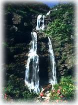 大口瀑布 大口瀑布