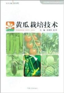 黃瓜栽培技術 黃瓜栽培技術