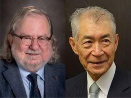 負性免疫調節 負性免疫調節