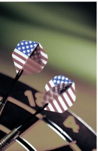 飛鏢運動 飛鏢運動