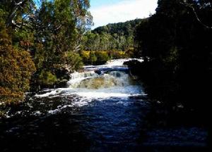 搖籃山國家森林公園 搖籃山國家森林公園