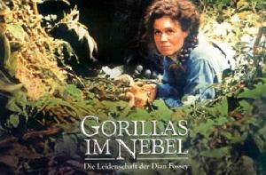 迷霧中的大猩猩 迷霧中的大猩猩