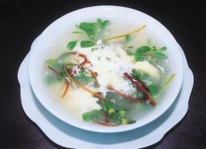 馬齒莧薏苡仁瘦肉粥