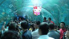 成都海洋館