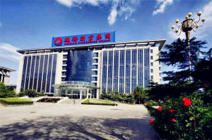 山東省魏橋創業集團 山東省魏橋創業集團