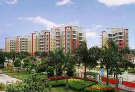 廣利街道 廣利街道