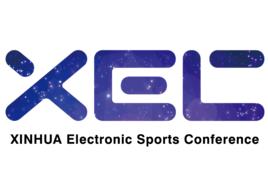 新華電子競技大賽 新華電子競技大賽