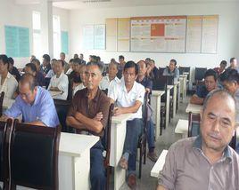 集體林場 集體林場