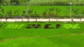 龍門花海景區 龍門花海景區