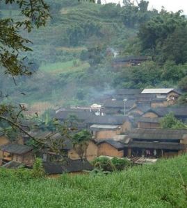 戶別一自然村 戶別一自然村