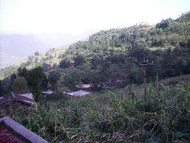 白岩自然村[角奎鎮發達行政村下轄自然村]