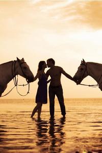 在花園裡[詩歌]