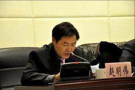 趙明偉[安徽省蚌埠市紀委原副書記]