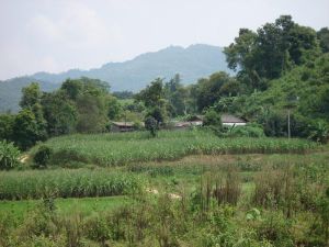 南麻自然村 南麻自然村