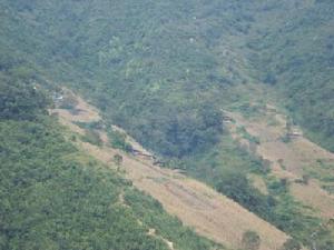 打吾基自然村 打吾基自然村