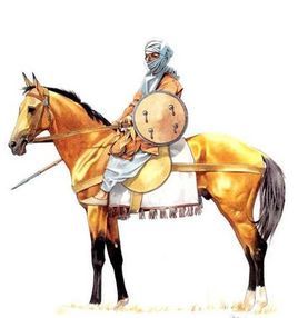 駱駝之戰 駱駝之戰