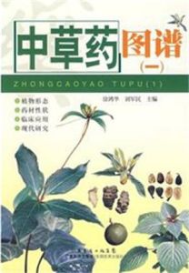 中草藥圖譜 中草藥圖譜