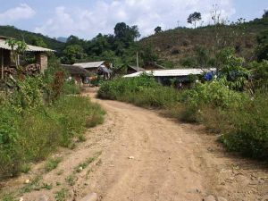 新龍山村 新龍山村