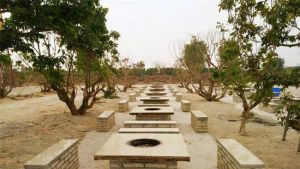 野趣園開心農場