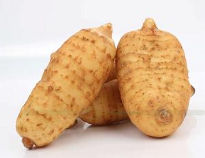 新鮮天麻 新鮮天麻