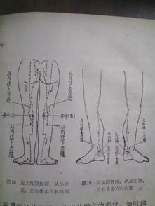 呼吸補瀉 呼吸補瀉