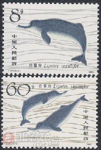 白鰭豚[白鰭豚郵票]