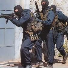 英國空軍特勤隊 英國空軍特勤隊