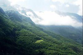 昭通藥山 昭通藥山