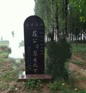 蘇國[周朝諸侯國]