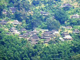 大曼線村 大曼線村